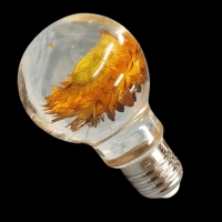 Lampenfassung für Resin Glühbirne (AM1252-Cap)